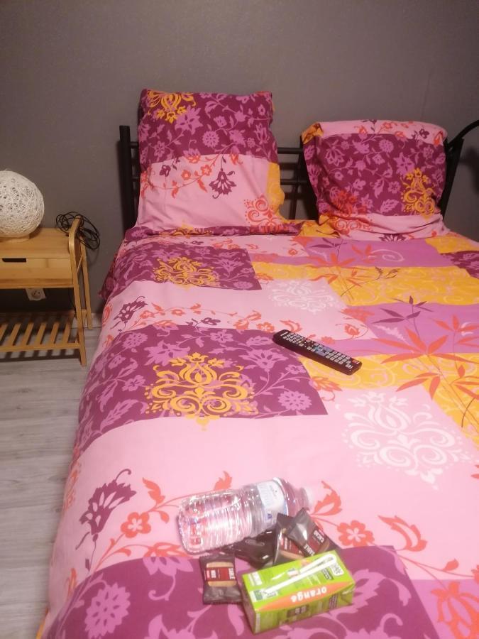 Chambre 23M2 Avec Jardin Wi-Fi Gratuit Saint-Girons Daire Dış mekan fotoğraf